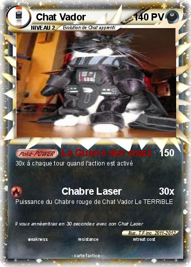 Pokemon Chat Vador