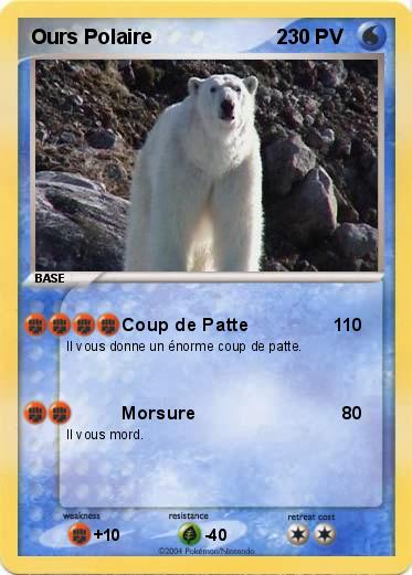 Pokemon Ours Polaire                      2