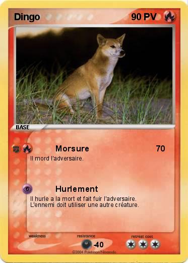 Pokemon Dingo