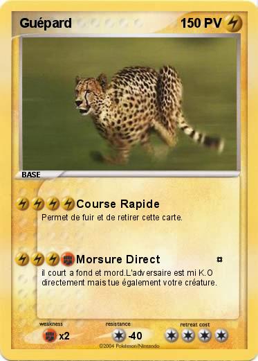 Pokemon Guépard