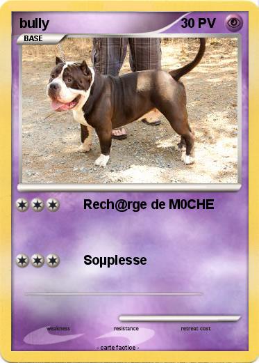 Pokemon bully