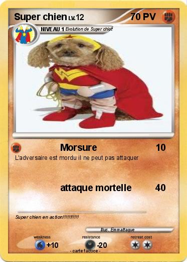 Pokemon Super chien