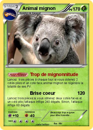 Pokemon Animal mignon