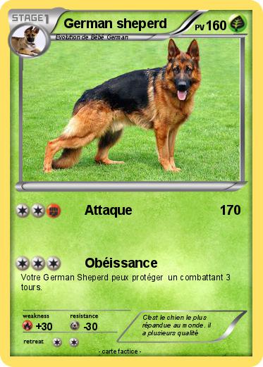 Pokemon German sheperd