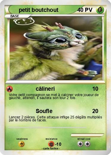 Pokemon petit boutchout