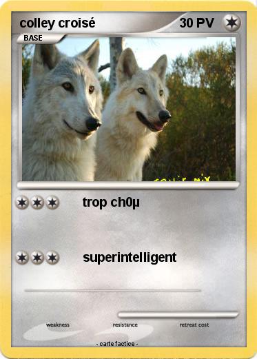 Pokemon colley croisé