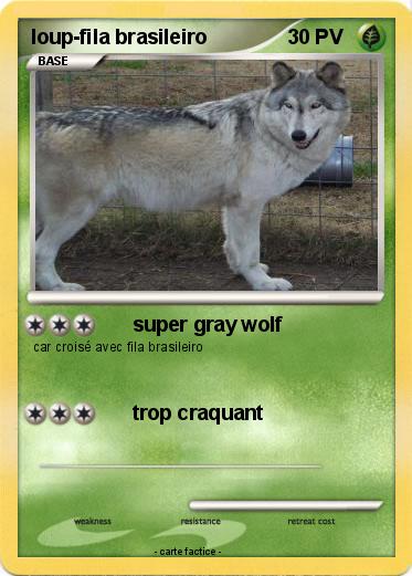 Pokemon loup-fila brasileiro