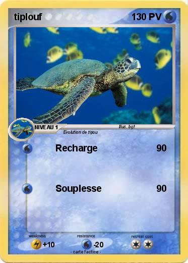 Pokemon tiplouf