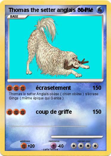 Pokemon Thomas the setter anglais obèse