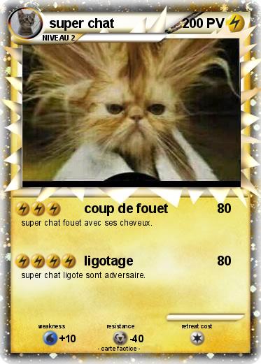 Pokemon super chat