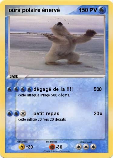 Pokemon ours polaire énervé                   