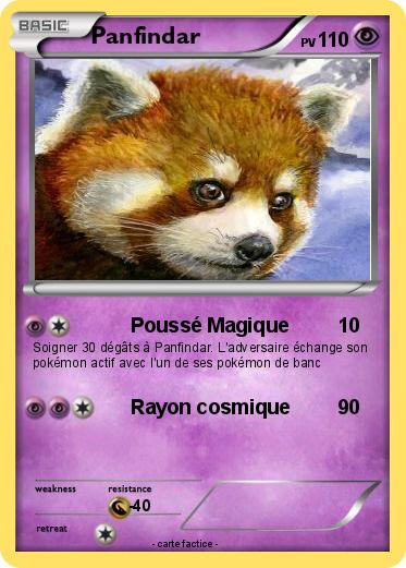 Pokemon Panfindar