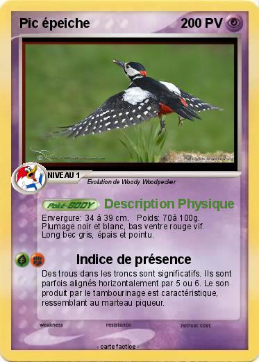 Pokemon Pic épeiche