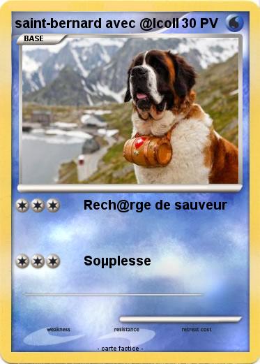 Pokemon saint-bernard avec @lcoll