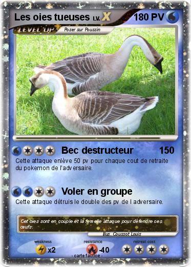 Pokemon Les oies tueuses