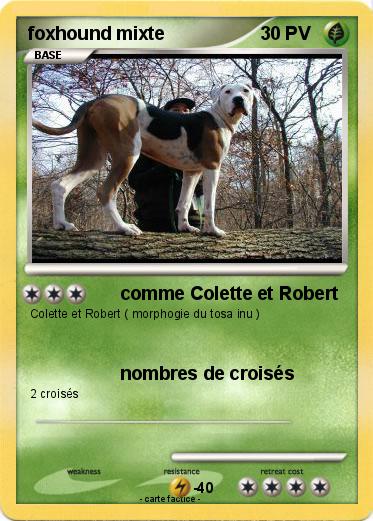 Pokemon foxhound mixte