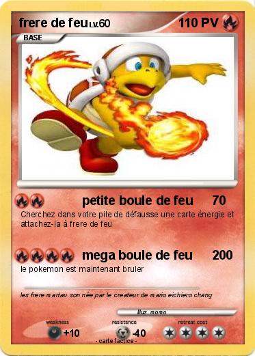 Pokemon frere de feu