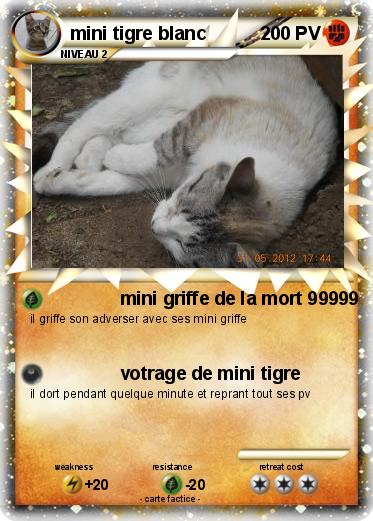 Pokemon mini tigre blanc