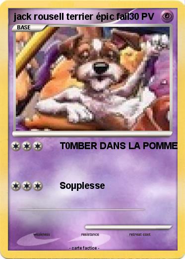 Pokemon jack rousell terrier épic fail