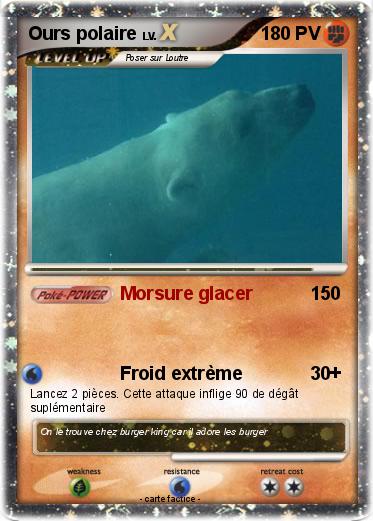 Pokemon Ours polaire
