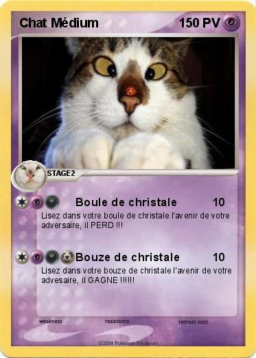 Pokemon Chat Médium