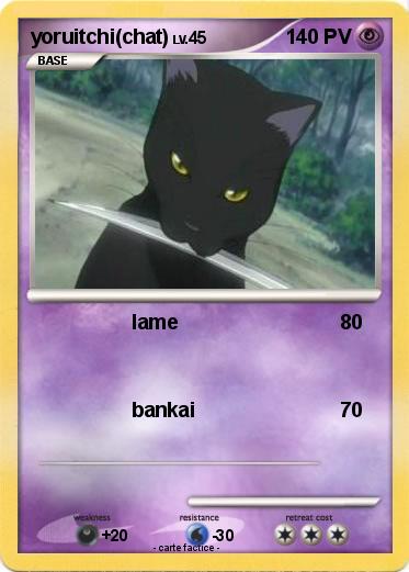 Pokemon yoruitchi(chat)