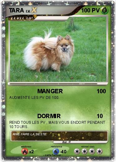 Pokemon TARA