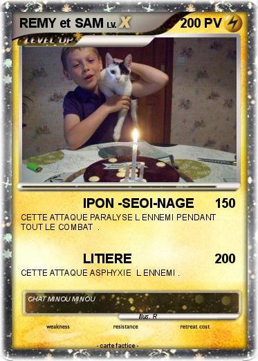 Pokemon REMY et SAM