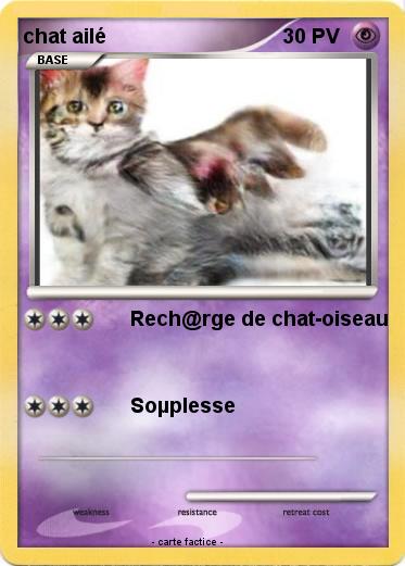Pokemon chat ailé