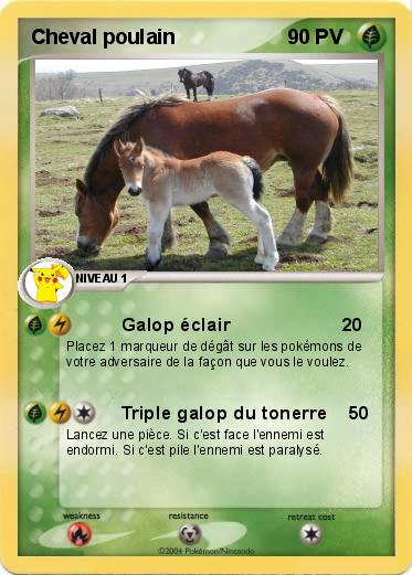 Pokemon Cheval poulain