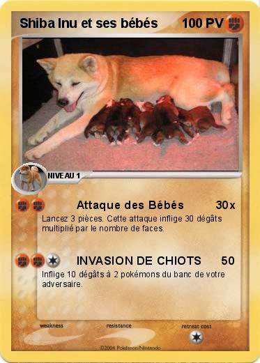 Pokemon Shiba Inu et ses bébés