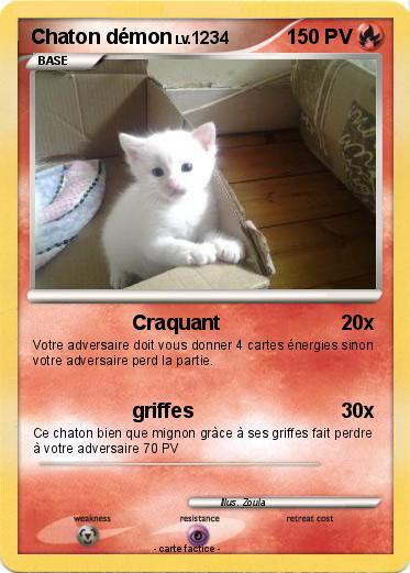 Pokemon Chaton démon