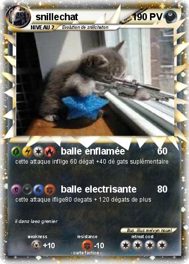 Pokemon snillechat
