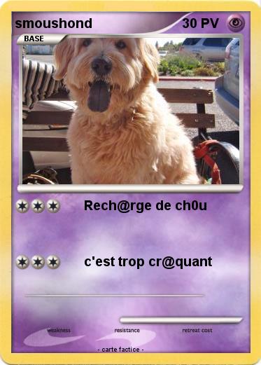 Pokemon smoushond