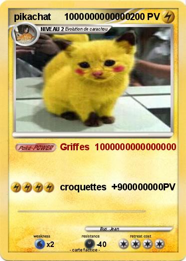 Pokemon pikachat     1000000000000