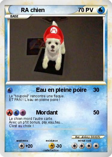 Pokemon RA chien