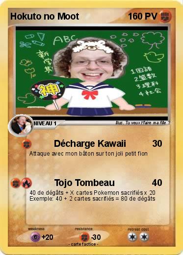 Pokemon Hokuto no Moot