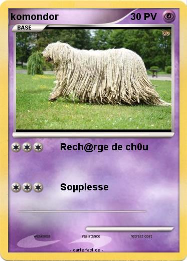 Pokemon komondor
