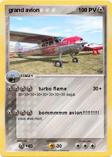 Pokemon grand avion