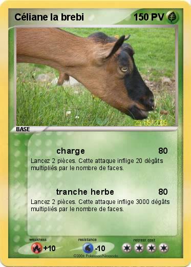 Pokemon Céliane la brebi