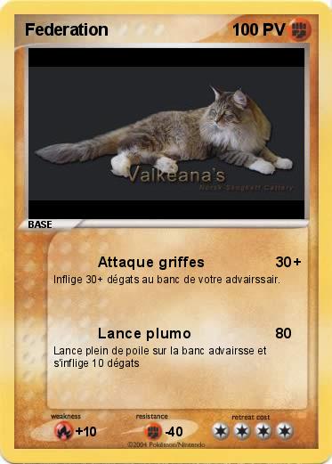 Pokemon Federation