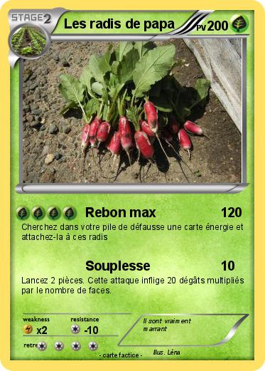 Pokemon Les radis de papa
