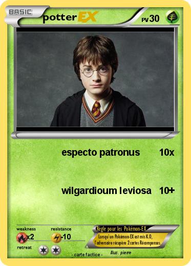 Pokemon potter