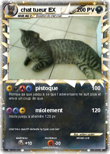 Pokemon chat tueur EX