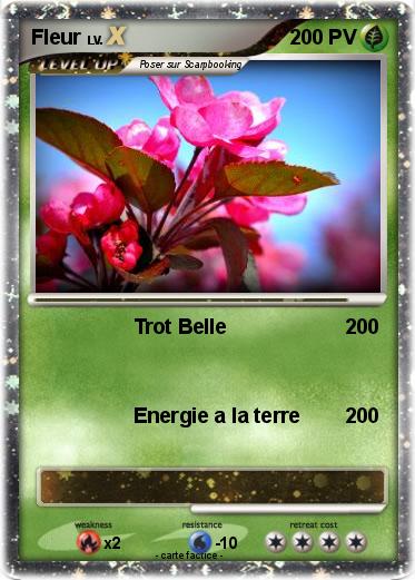 Pokemon Fleur