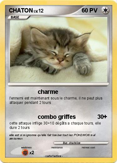 Pokemon CHATON