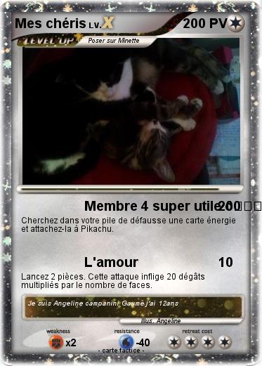 Pokemon Mes chéris