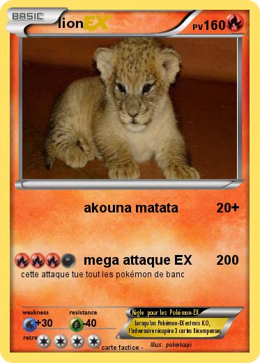 Pokemon lion