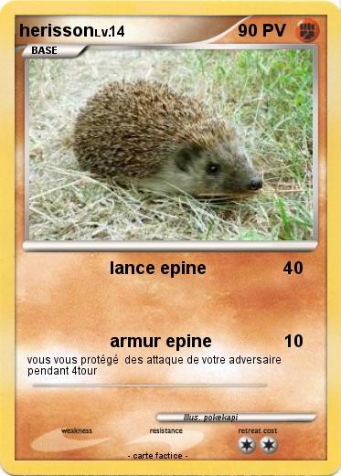 Pokemon herisson