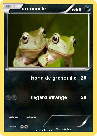 Pokemon grenouille